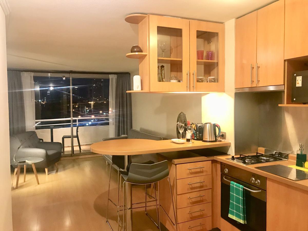 Апартаменты Providencia Plaza Сантьяго Экстерьер фото